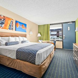 King Room Disability Access
